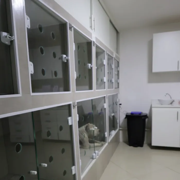 Área de internação da PRUDENT VET