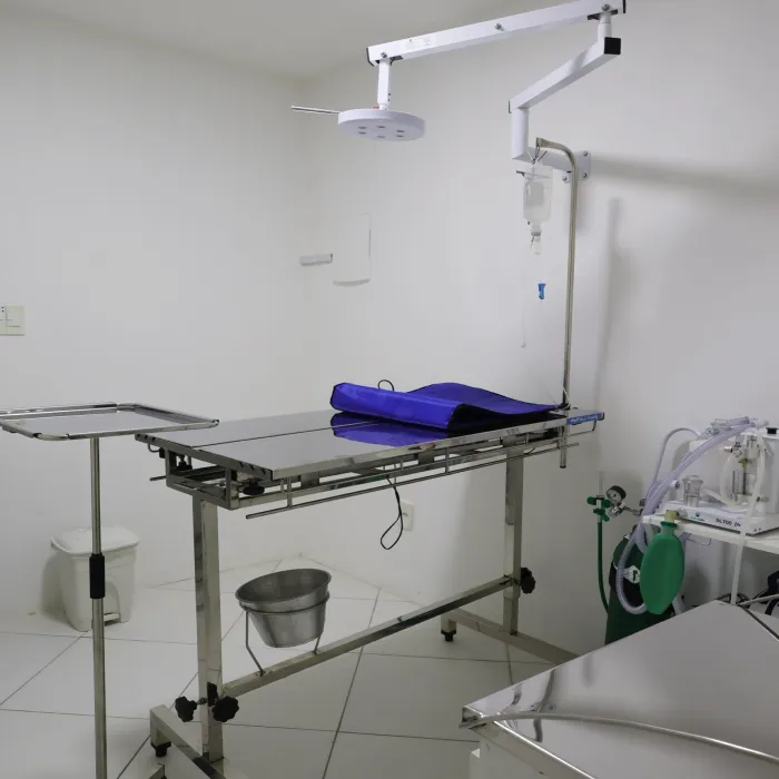 Centro cirúrgico equipado da PRUDENT VET