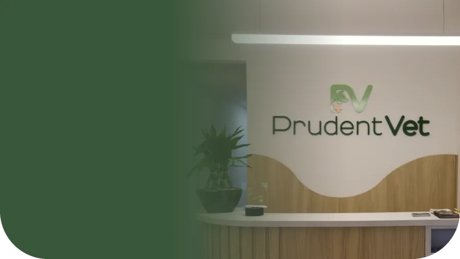 Recepção da clínica PRUDENT VET em Itaipuaçu - Maricá