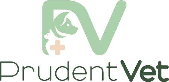 PRUDENT VET — Clínica Veterinária