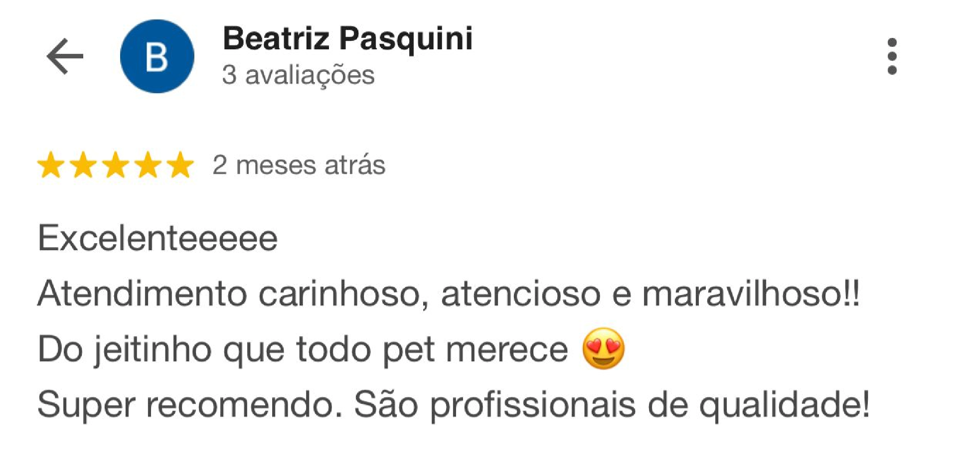 Avaliação de Beatriz Pasquini no Google — 5 estrelas para a PRUDENT VET